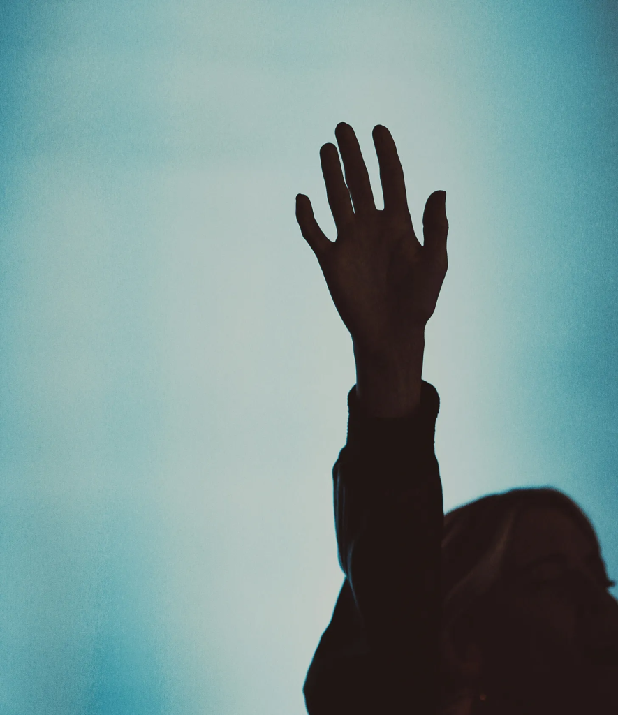 image of a raised hand