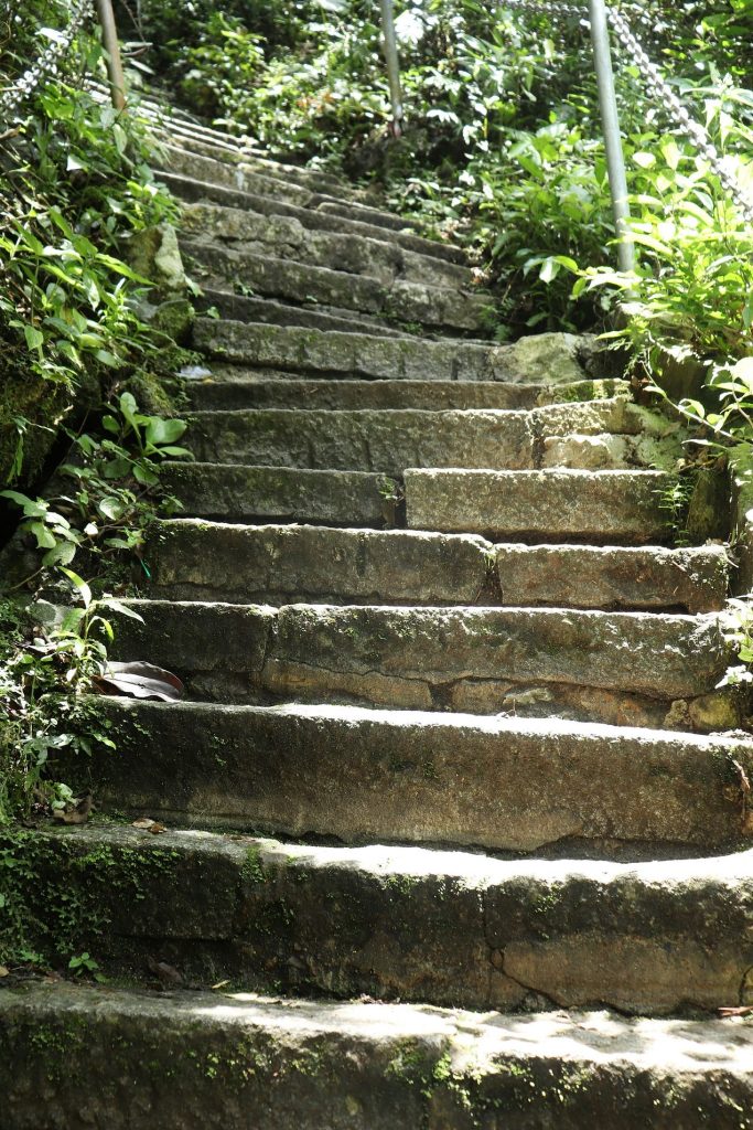 mossy stairs outdoors