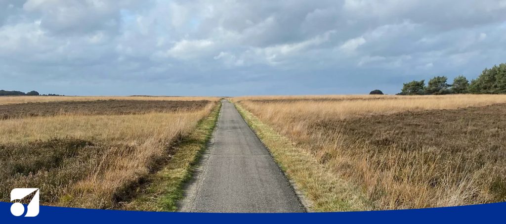 a dirt road in the country